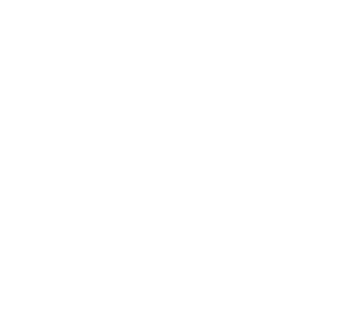 Norfolk Scouts